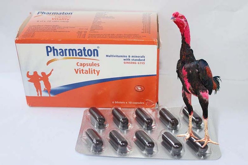 https://buycialisonlinenorx.us.com/im/storage/benh-va-thuoc/cho-ga-uong-pharmaton-truoc-khi-da-2.jpg