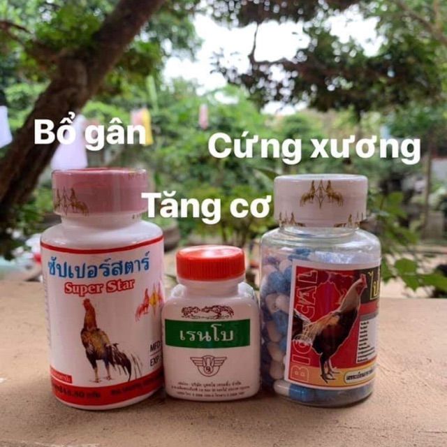 https://buycialisonlinenorx.us.com/im/storage/benh-va-thuoc/ga-da-uong-thuoc-gi-cho-khoe-2.jpg