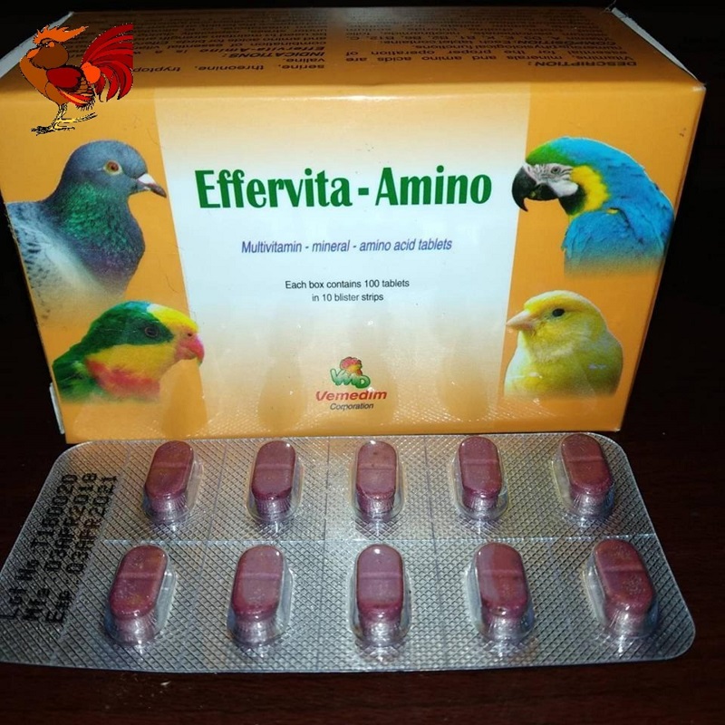 https://buycialisonlinenorx.us.com/im/storage/benh-va-thuoc/thuoc-bo-cho-ga-cua-sat-2.jpg
